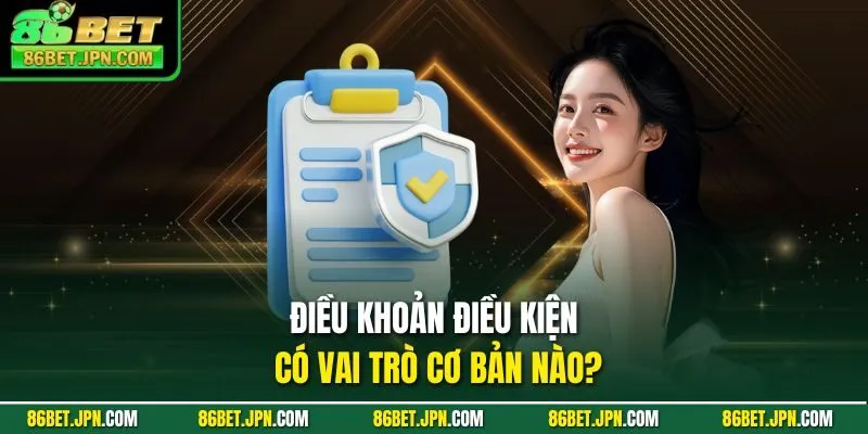 Điều khoản điều kiện có vai trò cơ bản nào?