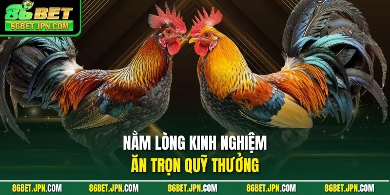 Nằm lòng kinh nghiệm ăn trọn quỹ thưởng