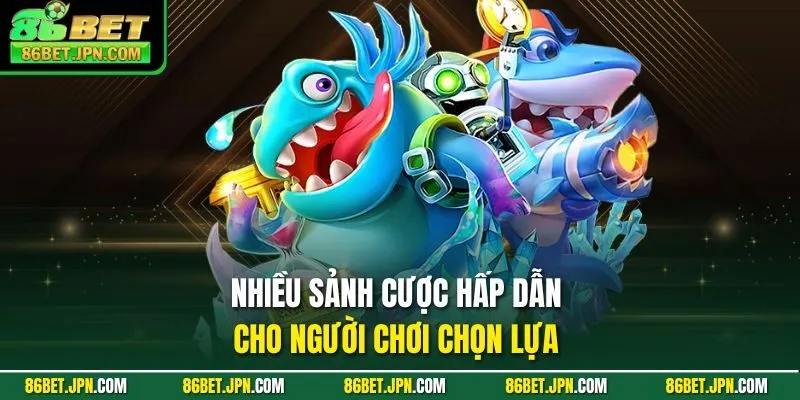 Nhiều sảnh cược hấp dẫn cho người chơi chọn lựa 