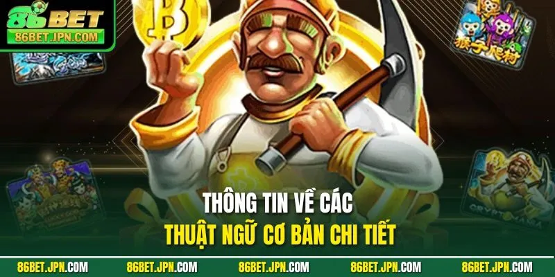 Thông tin về các thuật ngữ cơ bản chi tiết