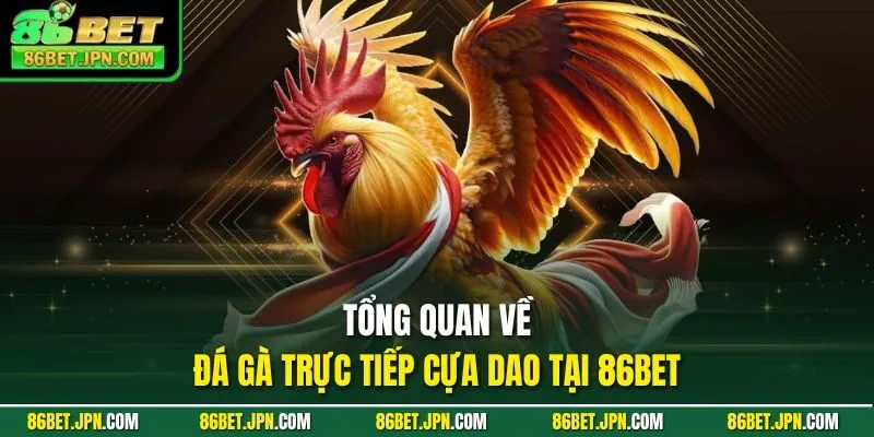 Tổng quan về đá gà trực tiếp cựa dao tại 86BET